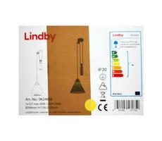 Lindby Lindby - Luster na lanku ALECKS 1xE27/60W/230V