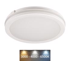 38386 - LED Vonkajšie svietidlo BENO ECO LED/40W/230V 3000/4000/6500K IP65