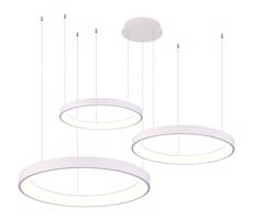 Azzardo Azzardo - LED Stmievateľný luster na lanku AGNES LED/120W/230V biela