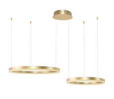Azzardo Azzardo - LED Stmievateľný luster na lanku HALO LED/90W/230V zlatá + DO