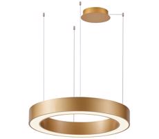 Azzardo Azzardo - LED Stmievateľný luster na lanku MARCO LED/100W/230V zlatá + DO