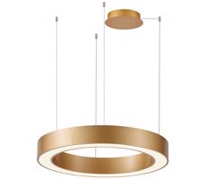Azzardo Azzardo - LED Stmievateľný luster na lanku MARCO LED/60W/230V zlatá + DO