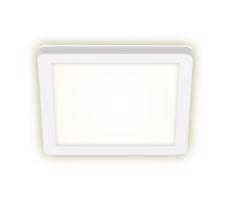 Briloner 3010-016 - LED Stropné svietidlo LED/8W/230V 19x19 cm biela IP44