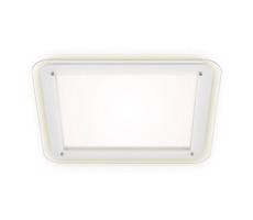 Briloner 3397-016 - LED Stropné svietidlo FREE LED/22W/230V