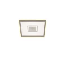 Briloner 7367-112 - LED Stropné svietidlo GEO LED/22W/230V