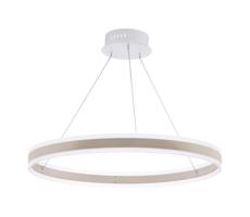 Eglo 39313 - LED Stmievateľný luster na lanku TONARELLA LED/78W/230V