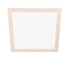 Eglo 99472 - LED Stropné svietidlo PIGLIONASSO LED/32W/230V 645x645 mm