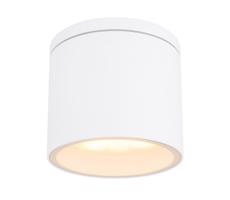 Globo Globo 32063W - Vonkajšie stropné svietidlo ALCALA 1xGX53/11W/230V IP44