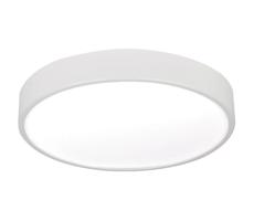 Greenlux LED Stropné svietidlo LED/24W/230V