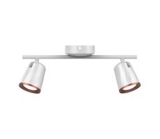 LED Bodové svietidlo 2xLED/5W/230V 3000K biela