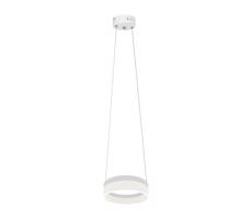LED Luster na lanku RING LED/12W/230V