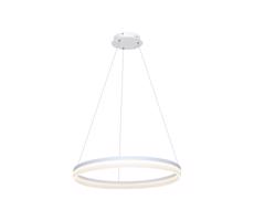 LED Luster na lanku RING LED/36W/230V