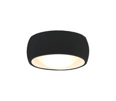 MAXLIGHT MAXLIGHT C0204 - LED Kúpeľňové stropné svietidlo KODAK LED/8W/230V IP44 čierna