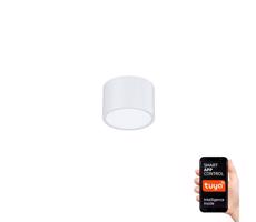 Neo NEO 07024L-15 - LED Stmievateľné stropné svietidlo RONDATE LED/12W/230V Tuya