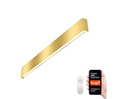 Neo NEO 07137-G - LED SMART Stmievateľné svietidlo LINEA LED/40W/230V + DO 76 cm