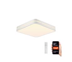 Neo NEO 07155-W42 - LED Stmievateľné svietidlo PERFECTO 48W/230V Wi-Fi Tuya + DO