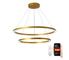 Neo NEO 07159-G80-60 - LED Stmievateľný luster FINO LED/93W/230V Tuya zlatá + DO