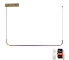 Neo  NEO 07227L - LED Stmievateľný luster na lanku PATTINI LED/26W/230V Tuya+DO