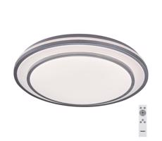 Rabalux Rabalux 2131 - LED Stmievateľné stropné svietidlo LUPITA LED/40W/230V strieborná +DO