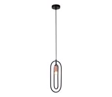 Rabalux Rabalux 72263 - Luster na lanku ROVIER 1xE27/40W/230V