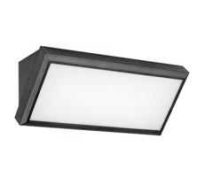 Rabalux Rabalux 7282 - LED Vonkajšie nástenné svietidlo RAPLA LED/12W/230V IP54