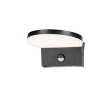 Rabalux Rabalux 77119 -LED Vonkajšie nás. sviet. so senzorom BATIDA LED/9W/230V IP54 čierna