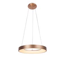 Rabalux Rabalux - LED Luster na lanku CARMELLA LED/80W/230V