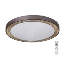 Rabalux Rabalux - LED Stmievateľné stropné svietidlo LED/40W/230V + DO 3000-6000K
