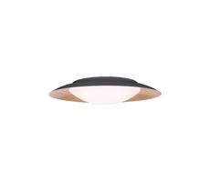 Zam Zam 1962 - LED Stropné svietidlo LED/28W/230V pr. 50 cm zlatá